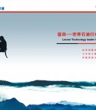雷昂润滑油